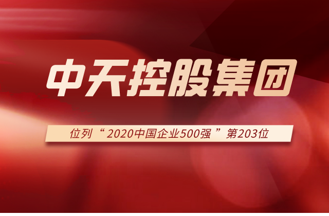 美狮贵宾会官方控股集团列2020中国企业500强第203位！