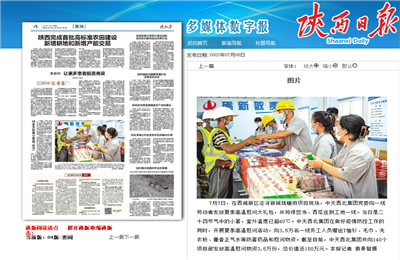 美狮贵宾会官方西北集团珑樾府项目高温慰问——《陕西日报》